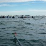 Ruderboote vor Port Camargue 2014