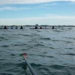 Ruderboote vor Port Camargue 2014