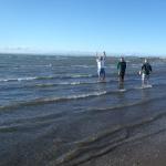 Ruderer im Mittelmeer Camargue 2014