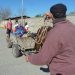 Bente im Pferdewagen Sfantu Gheorghe donau 2014