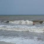 Brandung des schwarzen meeres donau 2014