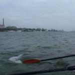 Galati mit gegenwind donau 2014