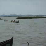 Lacul Razim die letzten 200m kann man ja laufen donau 2014