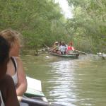 die graeben werden enger donaudelta 2014