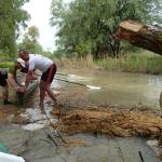 weg zum Lacul Razim mal wieder ein baum im Weg donau 2014