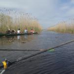 welcher Graben im Schilf ist der richtige Donaudelta 2014