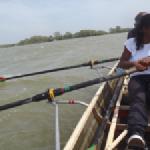 Einfahrt Sfantu Gheorghe Arm 2014