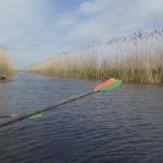 kanaele im Sumpf des donaudeltas 2014