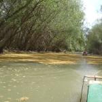 kanal crasnicol 2014