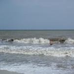 martin im schwarzen meer 2014