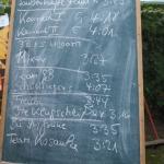 Plazierungen Mixed 2014 Drachenbootrudercup