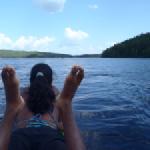 'Heckschwein' Finnland 2014