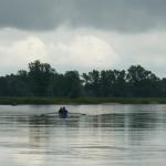 Ruderboote auf der Oder 2014