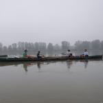 Baumgarten E-Vierer auf dem Po 2014