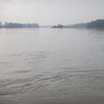 Flusslandschaft Po 2014