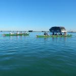 ausfahrt auf die Lagune mit kreuzfahrer Po 2014