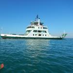 autofaehre zum Lido 2014