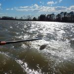 etwas ruppig Po 2014