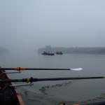 ruderboote im Nebel Po 2014