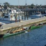 ruderboote im yachthafen po 2014