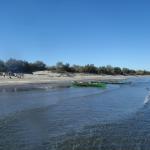 ruderer am strand der adria po 2014