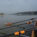 ruderer auf dem po 2014