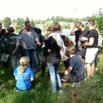 Schuelerruderer am Stoelpchensee 2014