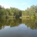 Wentowsee Ende 2015