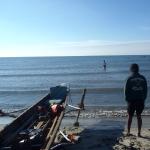 Petit Camargue am Strand 2015