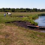 Ruderboot Biebzra 2015