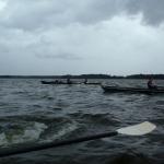 Ruderboote auf dem Schwielochsee 2015-1