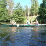 Ruderer im Baum Spree 2015