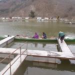 Anlegen in kasten donau 2015