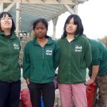 ruder girlies in lauingen donau 2015