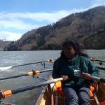 schloegener Schlinge donau 2015