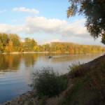 Rhein bei Mainz 2015