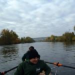 Ruderer auf dem Main 2015