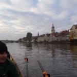 Ruderer in Kitzingen Main 2015