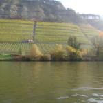 Weinberge am Main 2015