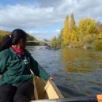 Wuerzburg Ruderer Main 2015