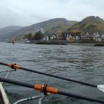 Assmannshausen am Rhein 2015