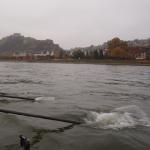 Ruderboot in Koblenz 2015