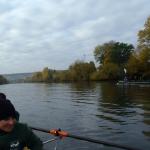 Ruderboote auf dem Main MDK 2015