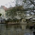 Umtragen in die Regnitz MDK 2015