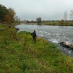 Wildwasser Regnitz MDK 2015