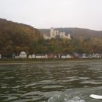 wieder eine Burg im Rheintal 2015