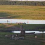 am Ende des Sumpfgebiets Bibzra Ruderboote 2015