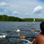 auf dem Weg nach Eylau Ruderboot 2015