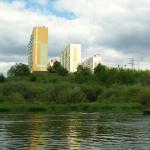 Warthe bei Konin 2015