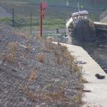 Graudenz verschlammter Hafen Ruderinnen 2015